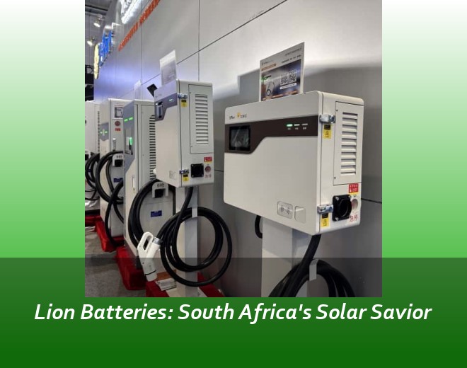 Lion Batteries: South Africa's Solar Savior